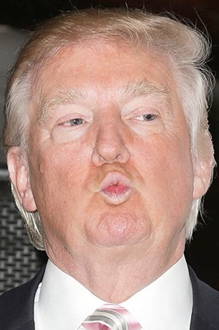 donald trump donald trump